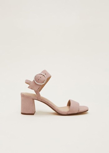 Phase Eight Suede Buckleed Heels Rose USA | 9837451-XD